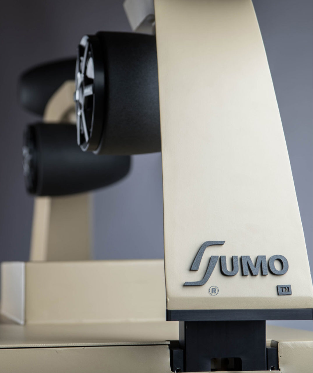 Sumo Detail 3